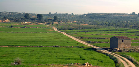 Monte bajo y pinares del coto