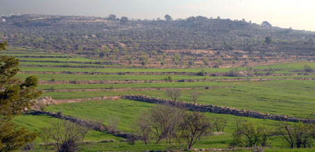 Paisaje de Les Garrigues en el coto