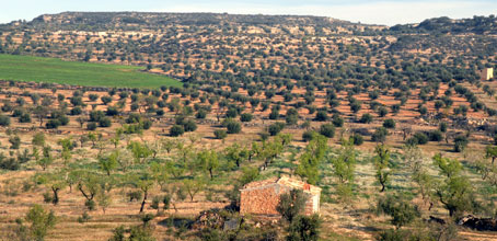 Terreno del coto de caza