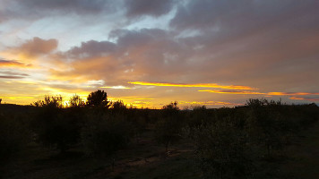 Atardecer sobre el campo antes de la dormida