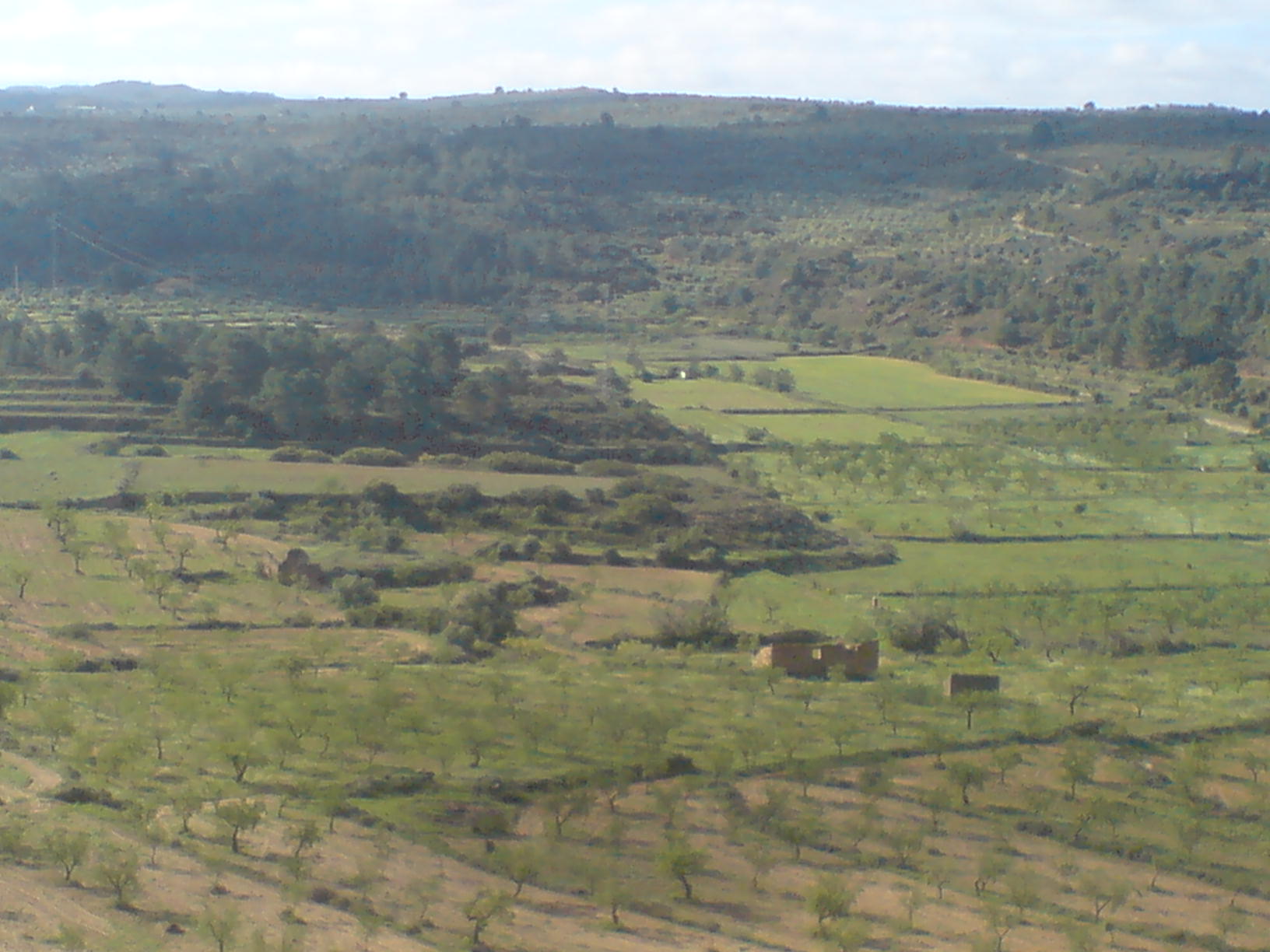 Paisaje del coto de caza en Granyena de les Garrigues