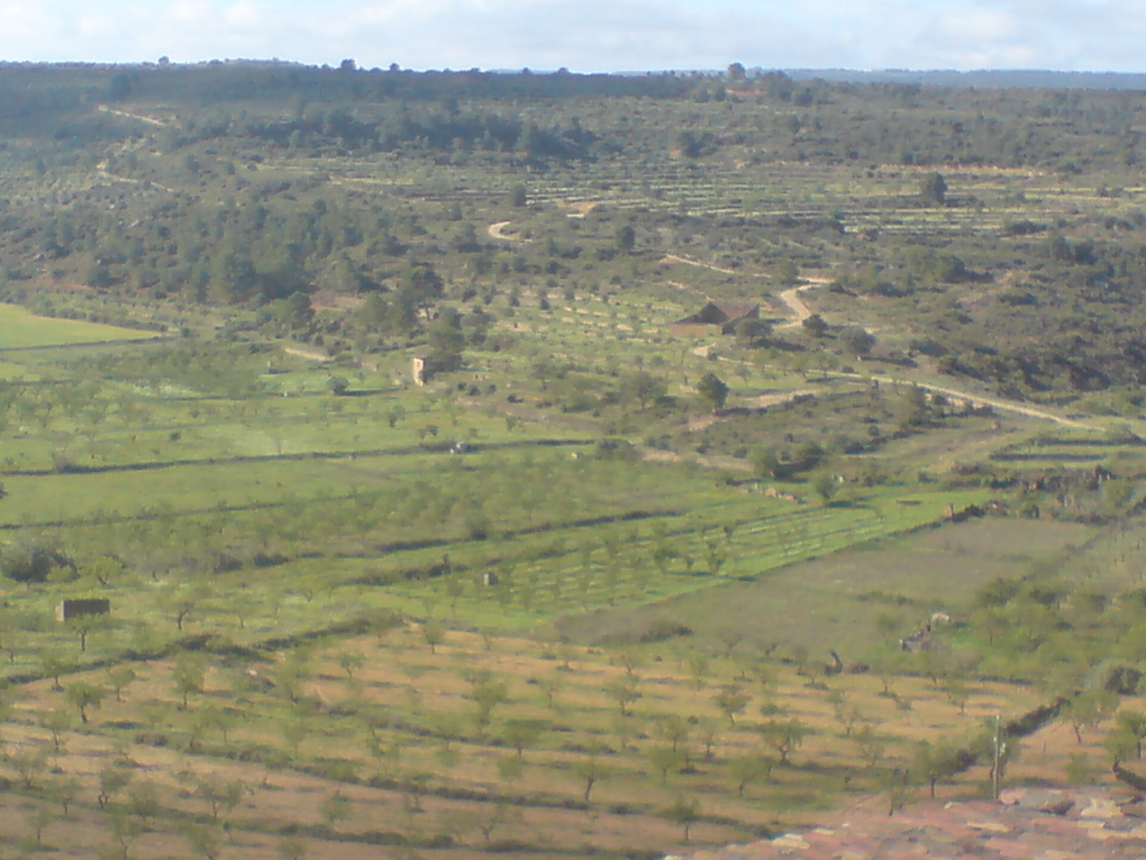 Campos y monte del coto de Les Garrigues
