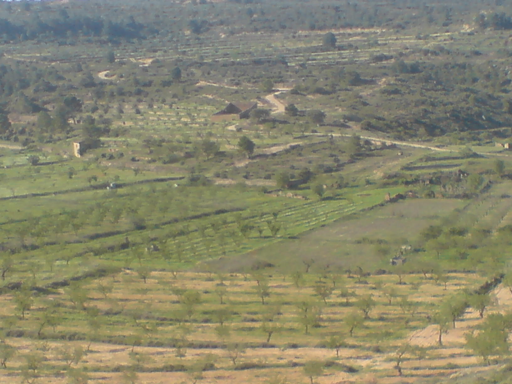 Vista del terreno de caza del coto