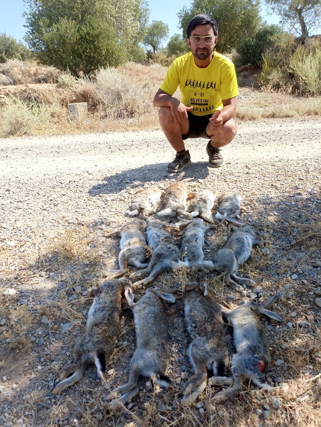 Resultado de una mañana de descaste de conejo